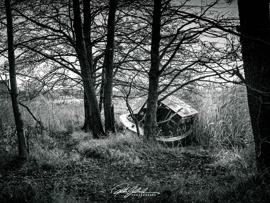 How to survive November&nbsp;2020-6