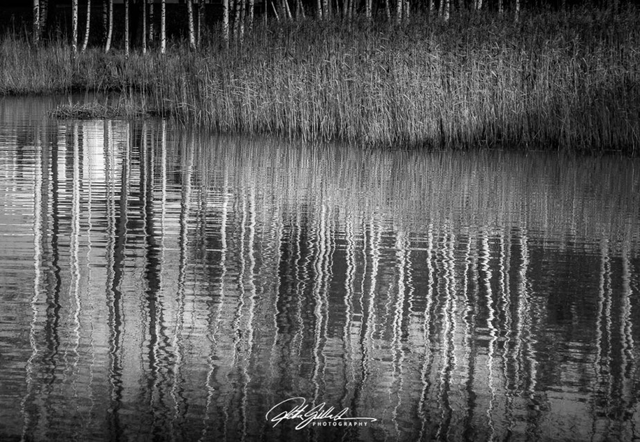 How to survive November&nbsp;2020-7