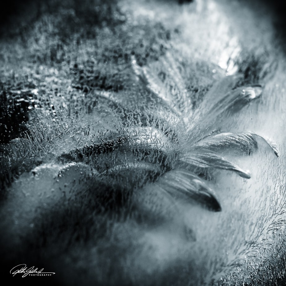 How to survive November&nbsp;2020-21