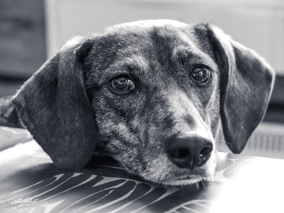 How to survive November&nbsp;2020-23