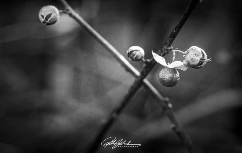 How to survive November&nbsp;2020-9