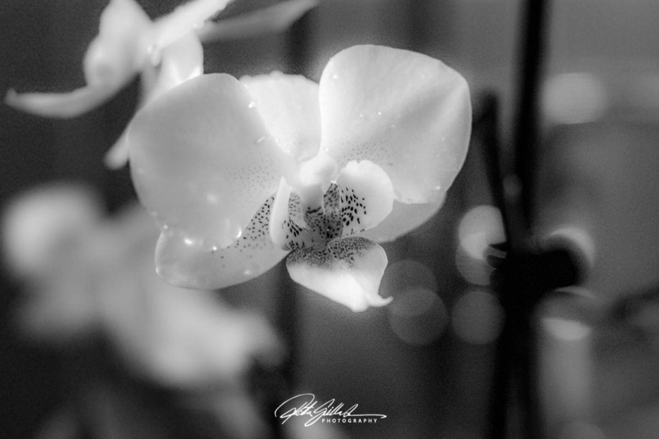 How to survive November&nbsp;2020-18