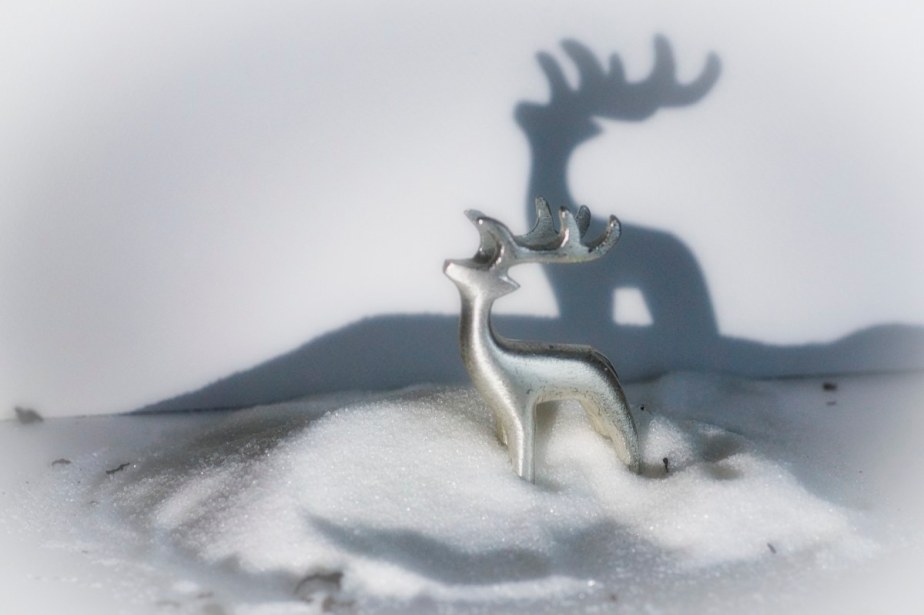 Countdown to 2021-13