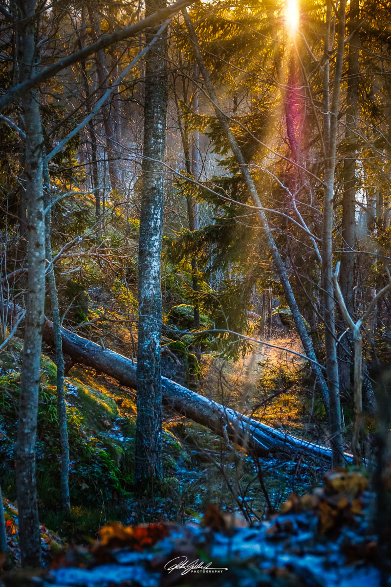 Little bit of&nbsp;sun