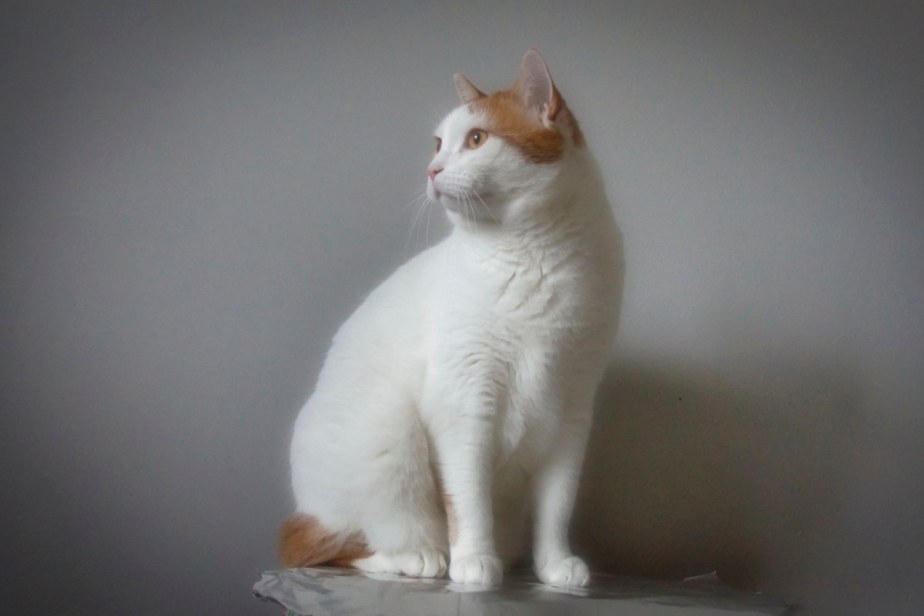 Countdown to 2021-16