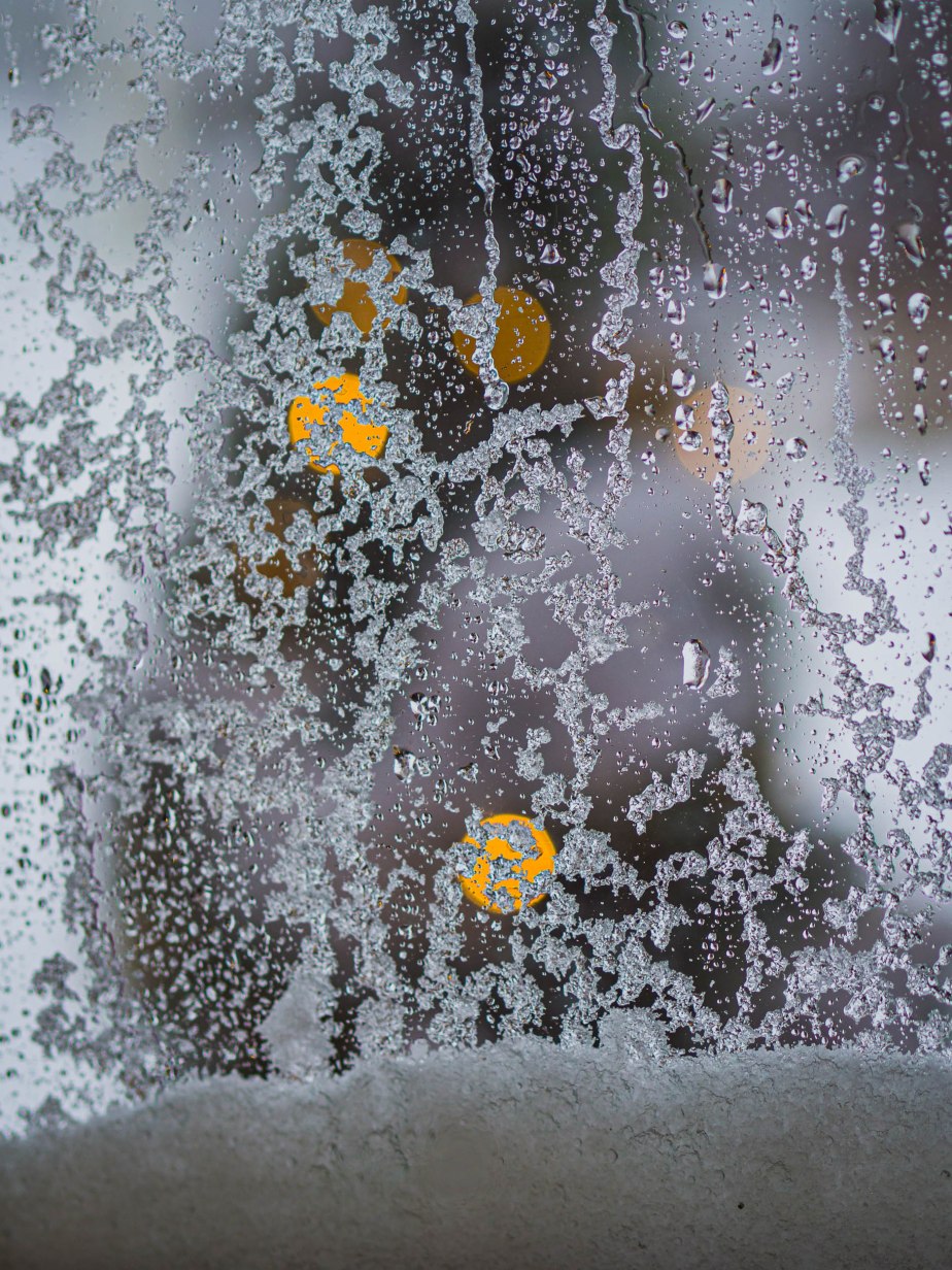 views from my&nbsp;windows