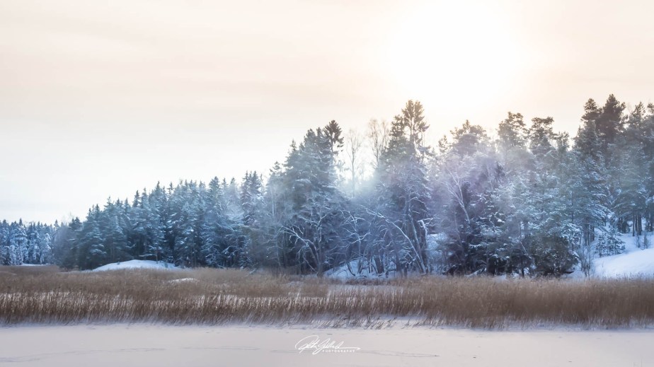 Reeds and Riverside&nbsp;Charm