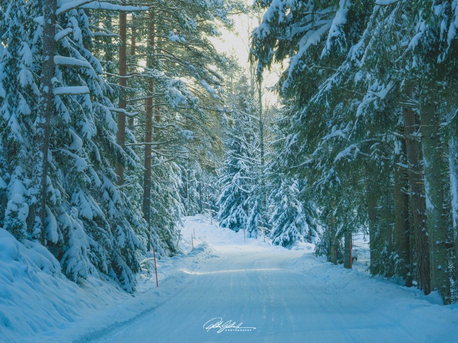 Lens-Artists Challenge #330 – Favorite Images of&nbsp;2024