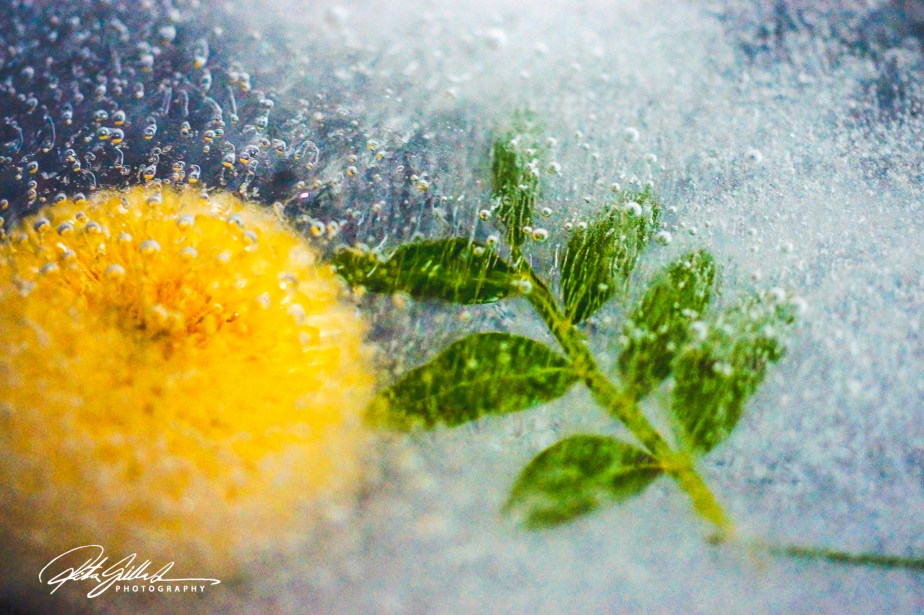 How to survive November 2021 Day&nbsp;25