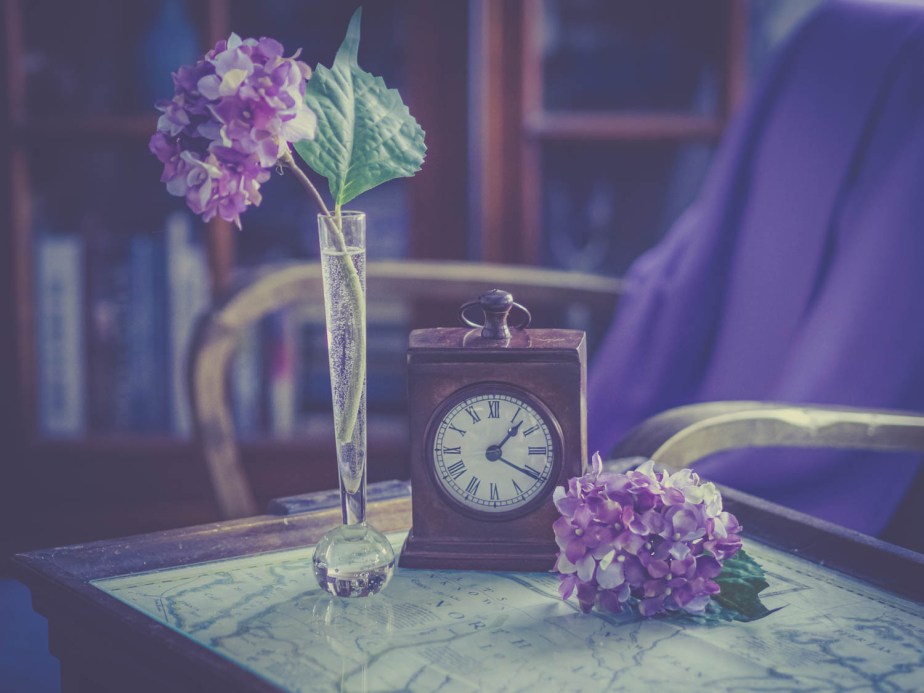 Still Life –&nbsp;Time