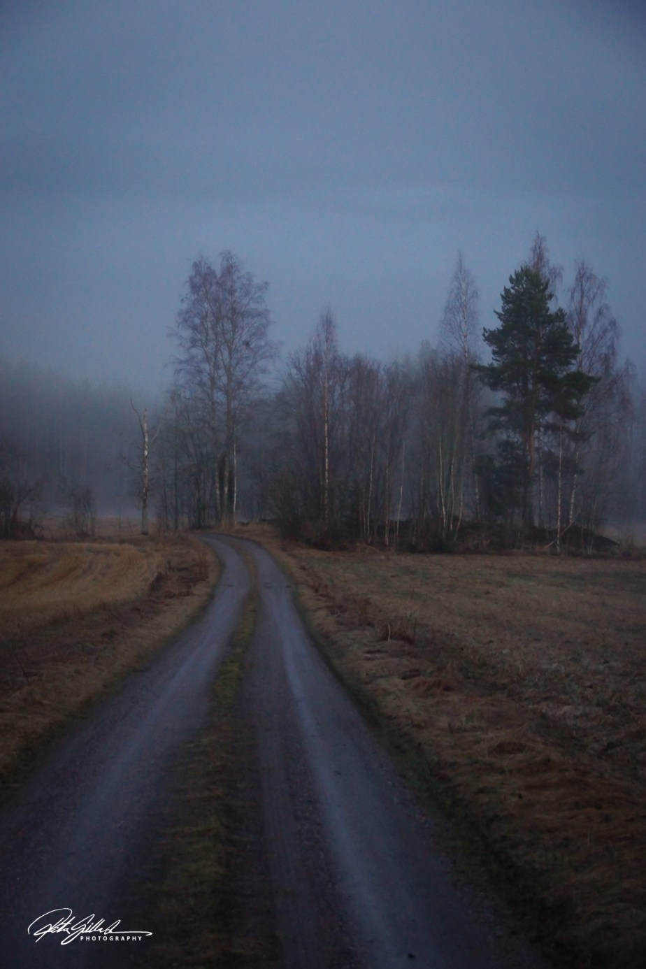 A long and rambling&nbsp;post