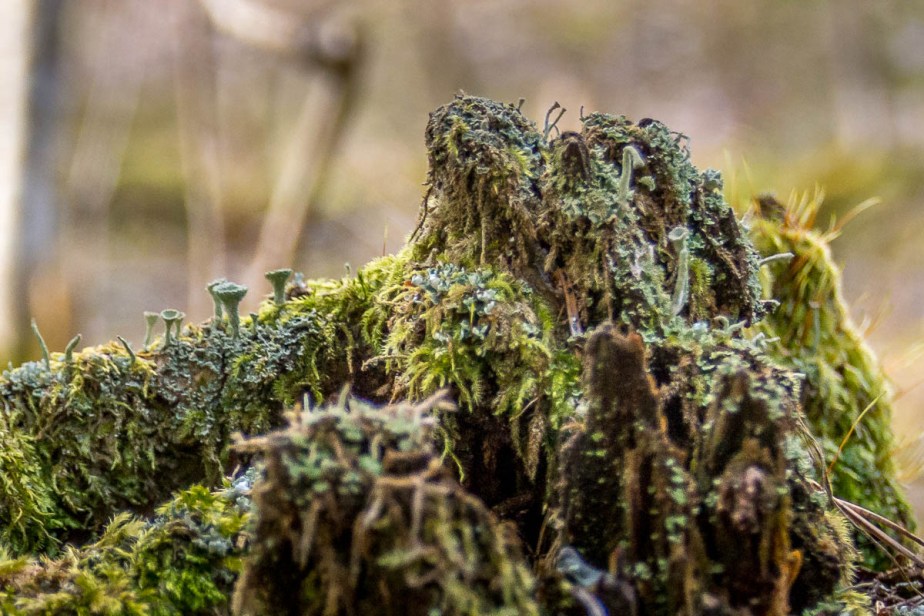 How to survive November 2021 Day&nbsp;2