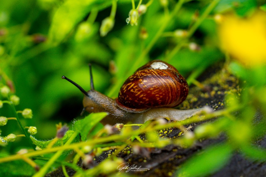 summer 2023 –&nbsp;2