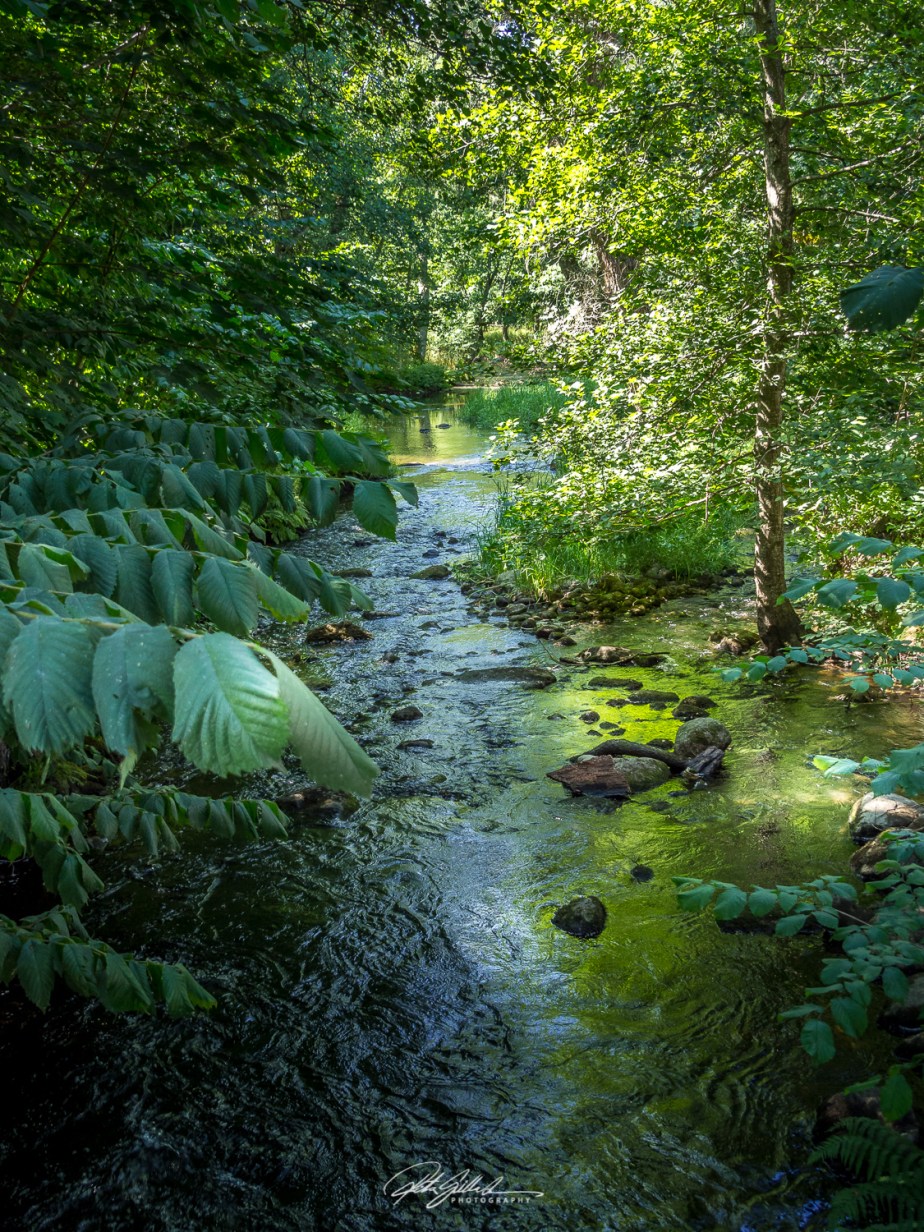 And the river&nbsp;flows