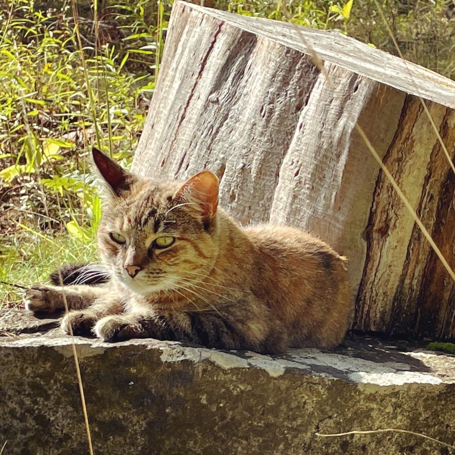 Something I noticed #&nbsp;25