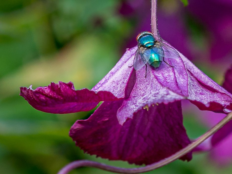 Something I noticed&nbsp;#15