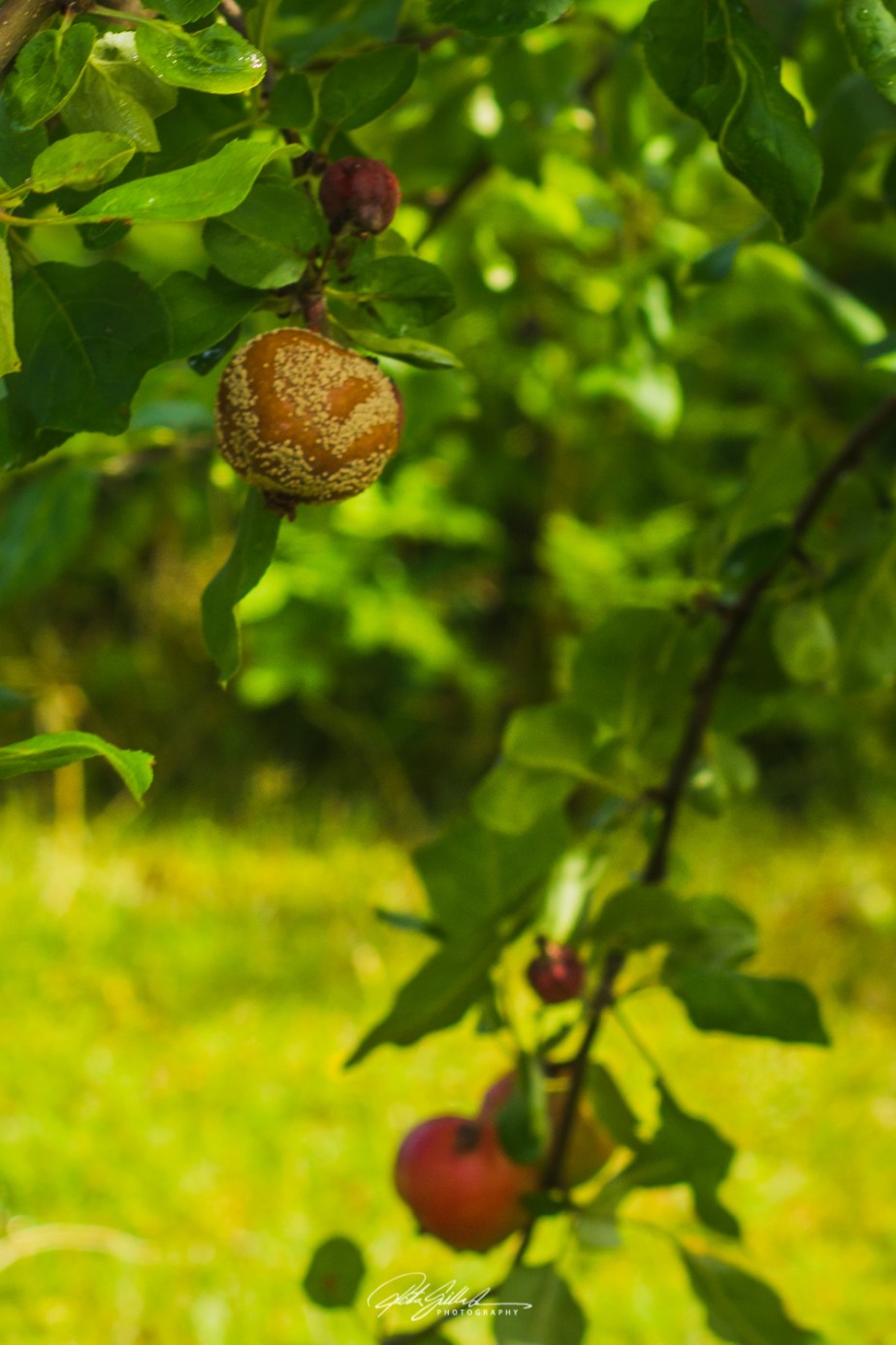 Something I noticed&nbsp;#19