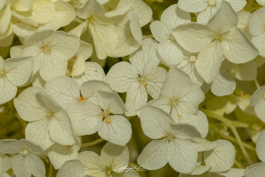 Something I noticed&nbsp;#20