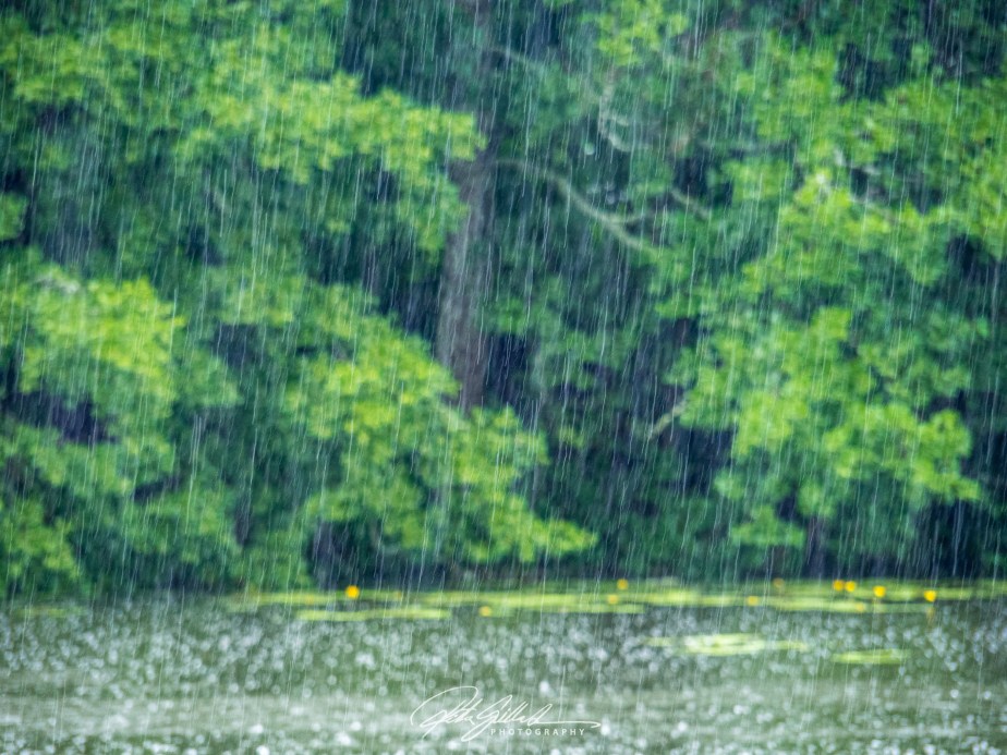 Something I noticed&nbsp;#6