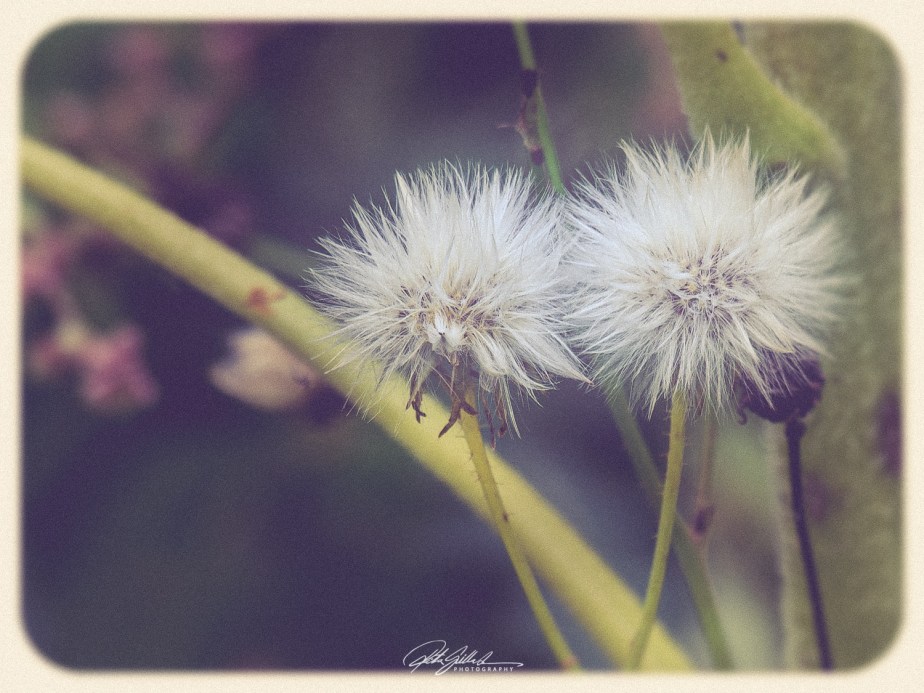 Random shots of September&nbsp;3