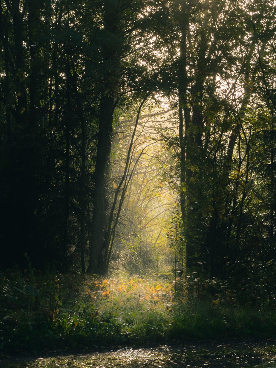 Random shots of September&nbsp;2