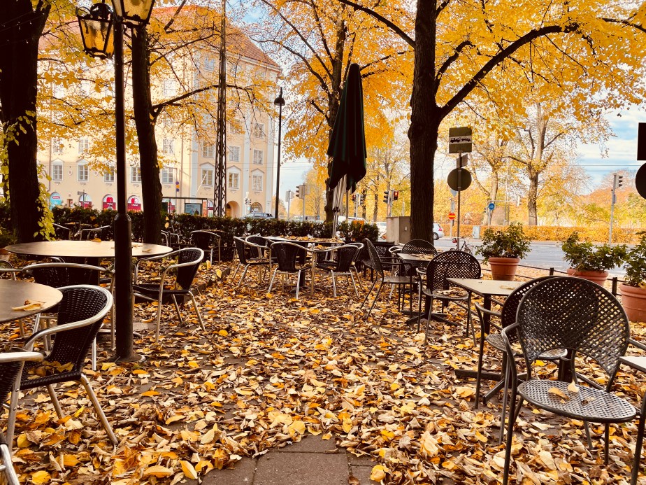 Autumn in the&nbsp;city