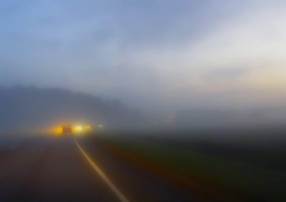 Driving into the&nbsp;mist