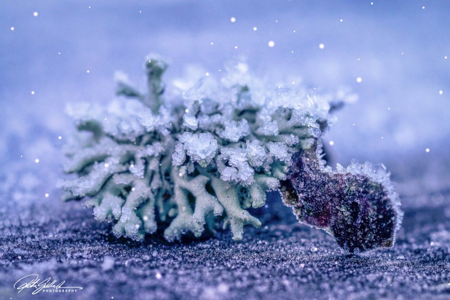 How to survive November 2021 Day&nbsp;22