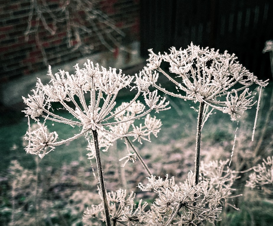 How to survive November 2021 Day&nbsp;15