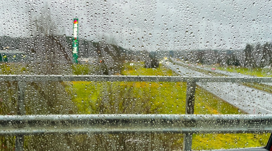 How to survive November 2021 Day&nbsp;17