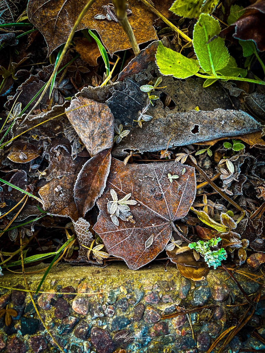 How to survive November 2021 Day&nbsp;21