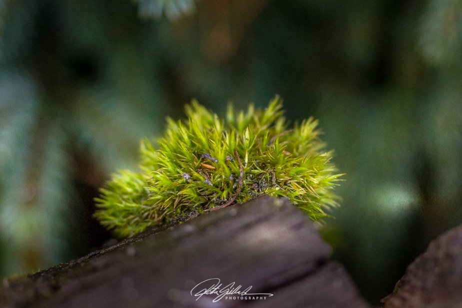 How to survive November 2021 Day&nbsp;18