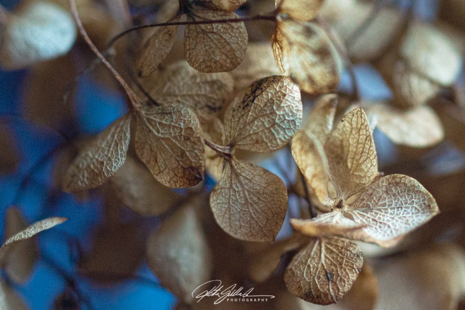 What winter looks like –&nbsp;11