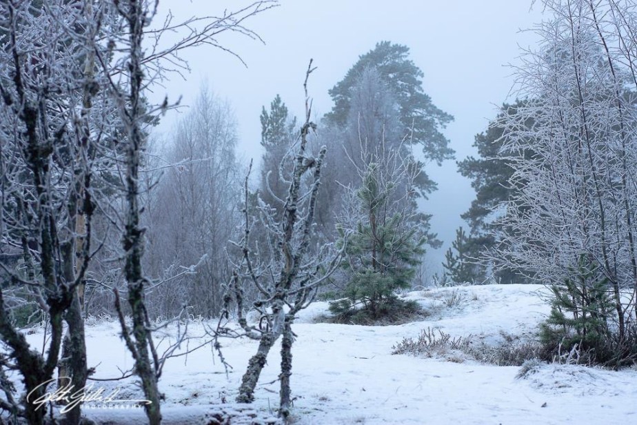 What winter looks like –&nbsp;6