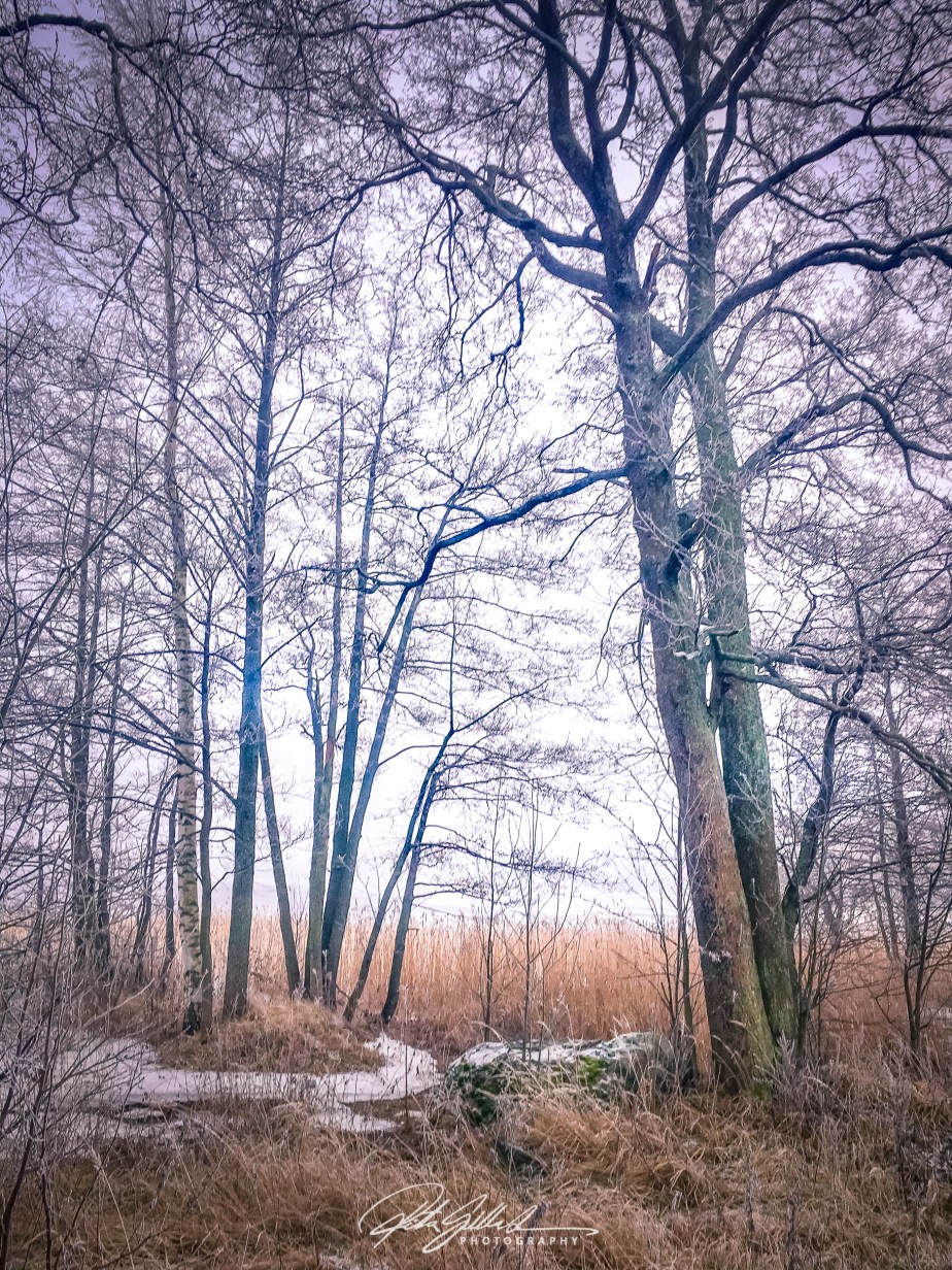 What winter looks&nbsp;like