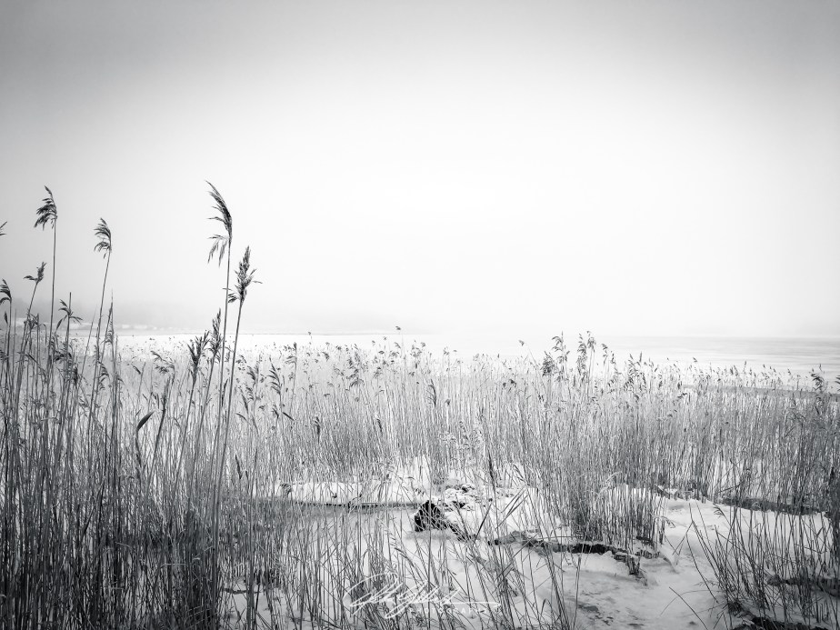 What winter looks like –&nbsp;2