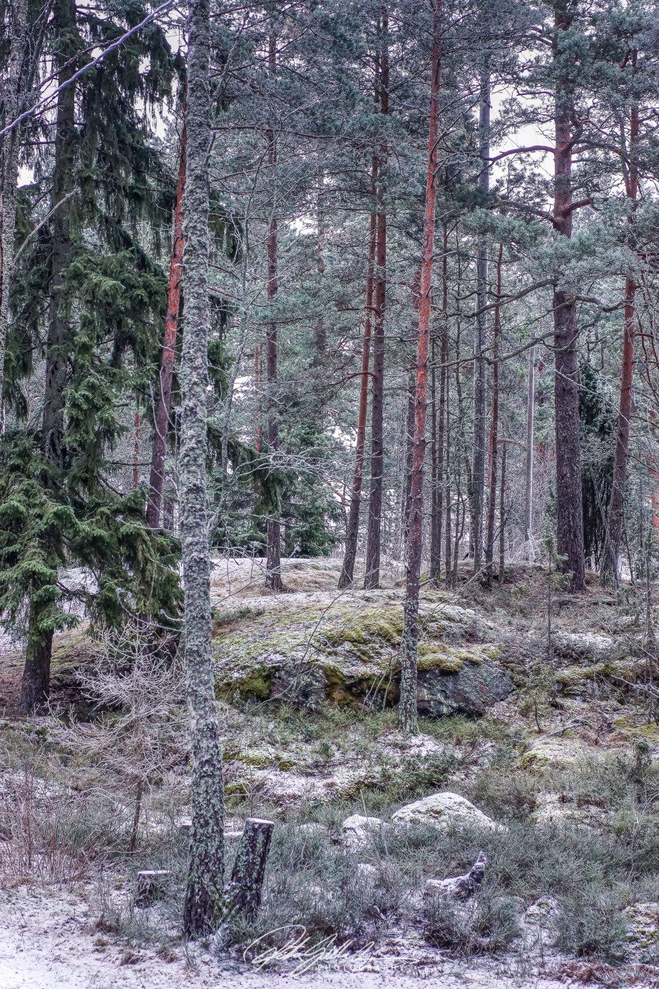 What winter looks like –&nbsp;4