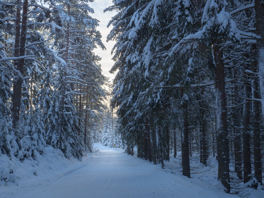 What winter looks like –&nbsp;9