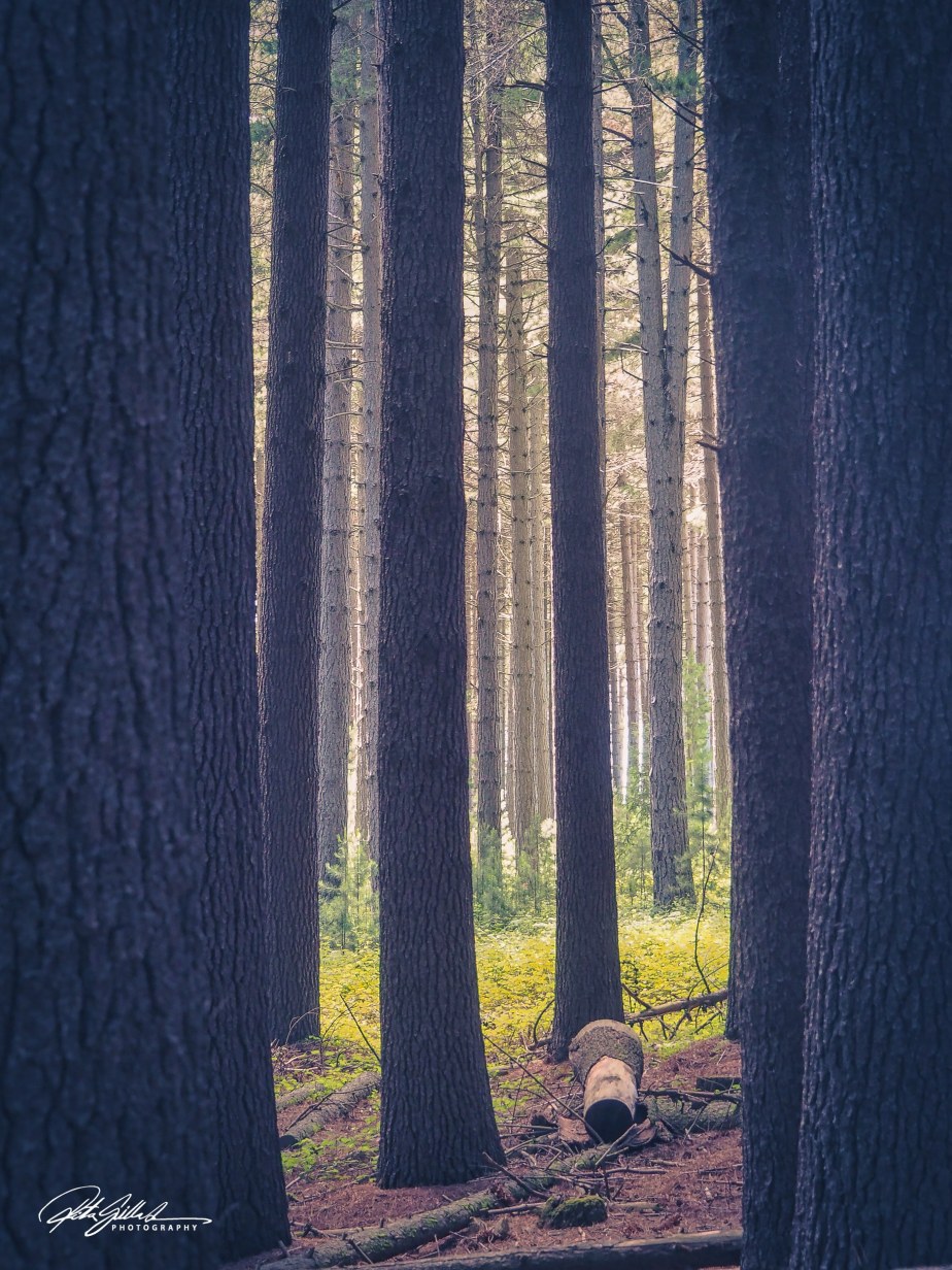 Lens-Artists Photography Challenge #242– NEW&nbsp;EXPERIENCES