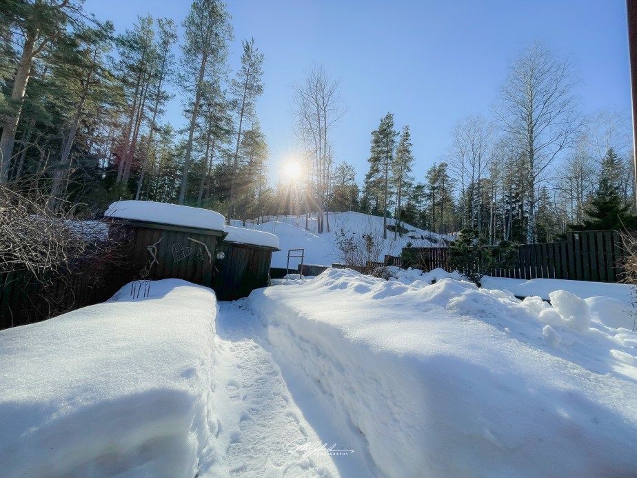 A touch of&nbsp;spring