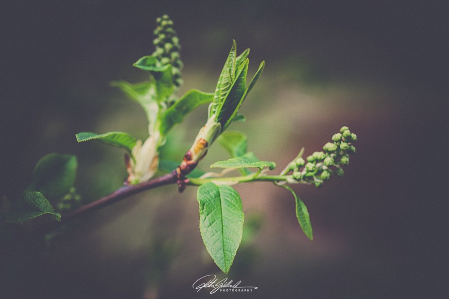 May 15th, Saturday&nbsp;finds