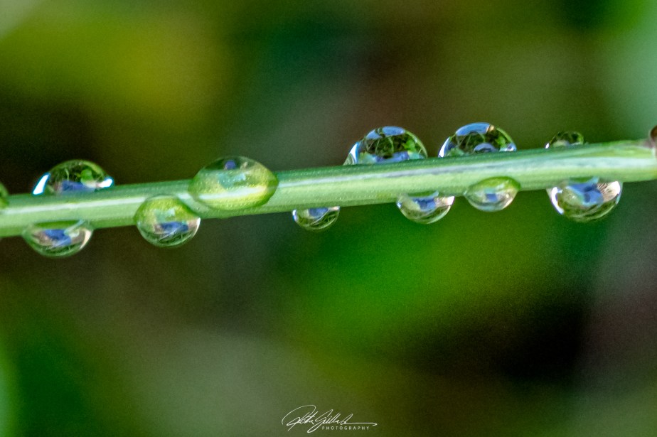 Droplets