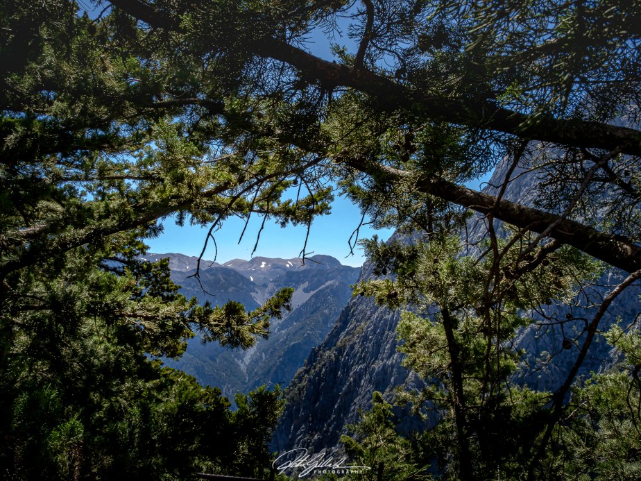 52 Frames: Week 22: Everything In&nbsp;Focus!