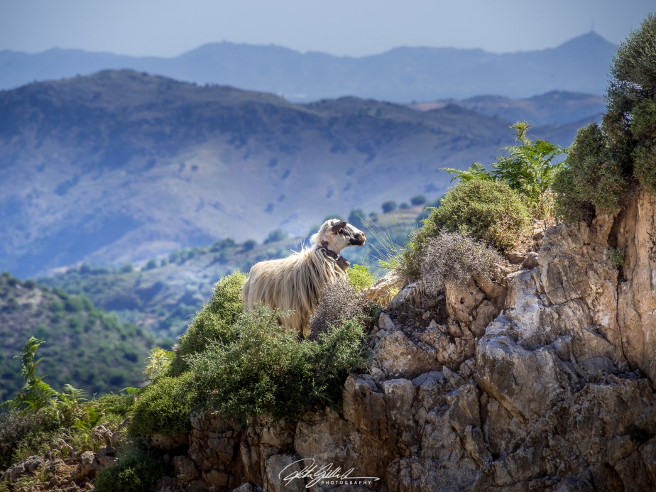 52 Frames: Week 23:&nbsp;Triangular!