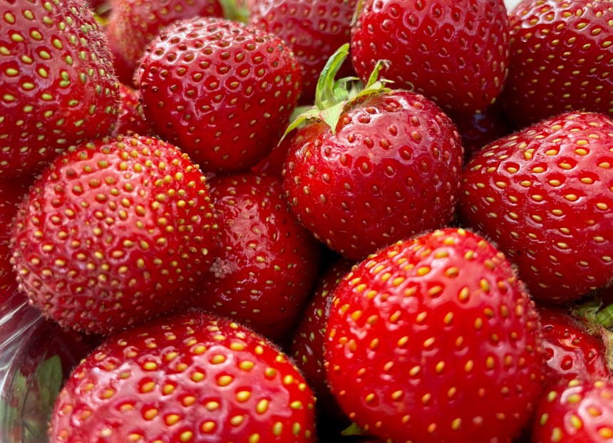 fresh tasty and sweet strawberries