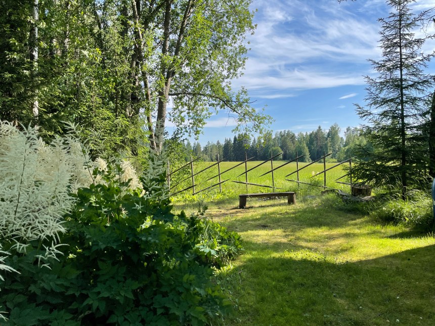 Fields of hay on a summer afternoon