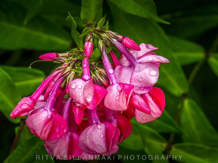 I have been&nbsp;thinking