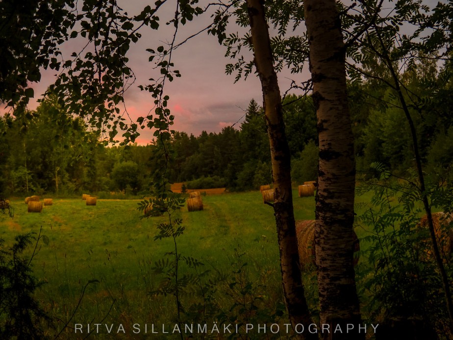 52 Frames: Week 34:&nbsp;Peace!