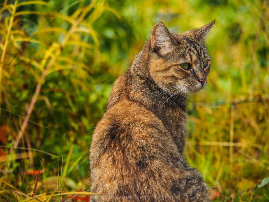 Something I noticed&nbsp;#32