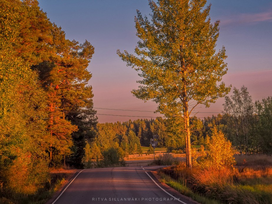 52 Frames: Week 36: Golden&nbsp;Hour!